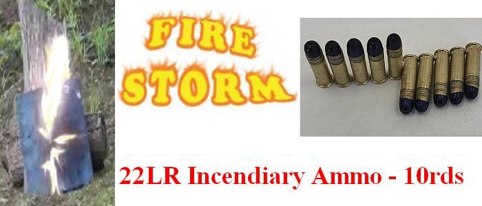 store/p/22LR-Incendiary-Ammo-10rds-NL210