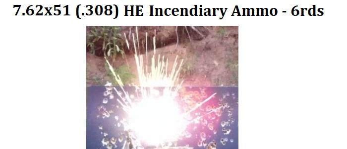 store/p/762x51-slash-308-HE-Incendiary-Ammo-6rds-NL726