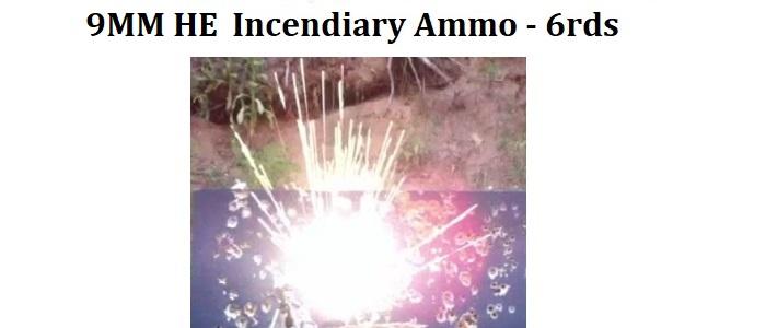 store/p/9MM-HE-Incendiary-Ammo-6rds-NL730