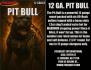 12 Gauge Pit Bull - 25 Pack