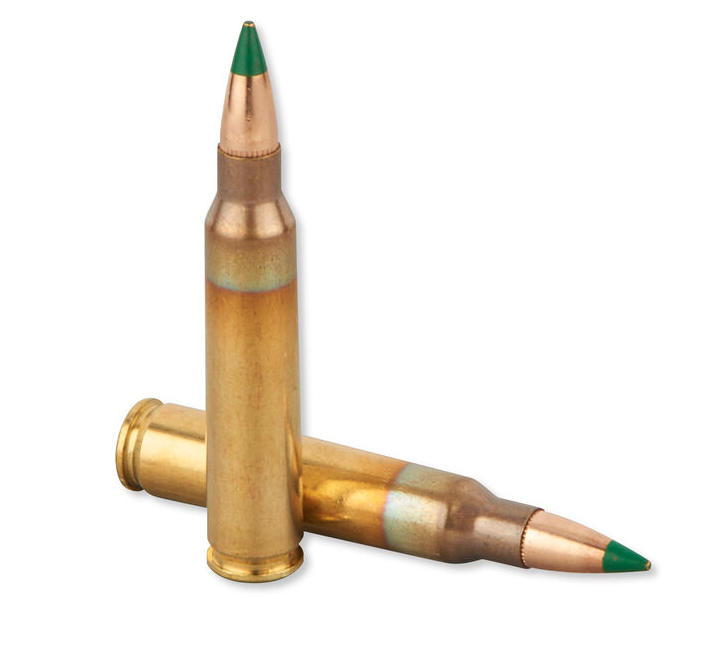 store/p/556-SS-109-Green-Tip-Armor-Piercing-20-Rounds-ARM-223