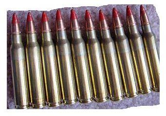 store/p/223-slash-556-10-Rounds-Tracer-Ammo-TRA-223
